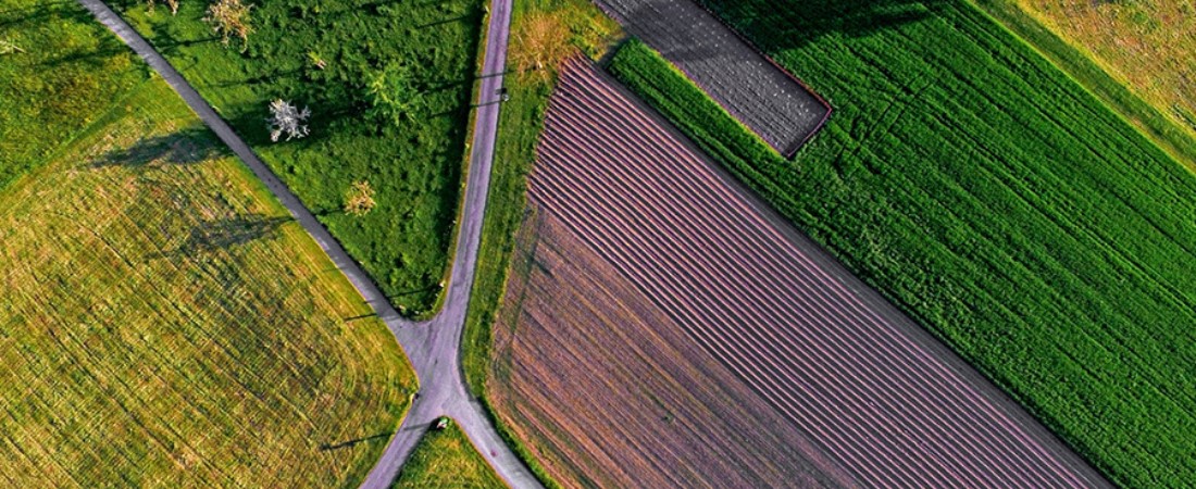 Real Estate Trends in Alibaug